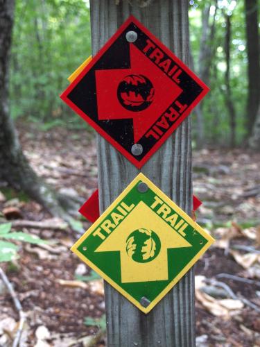 trail blazes at Teneriffe Mountain in New Hampshire