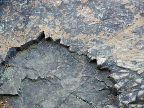 unusual rock formation along the Metacomet-Monadnock Trail to Mount Tom in western Massachusetts