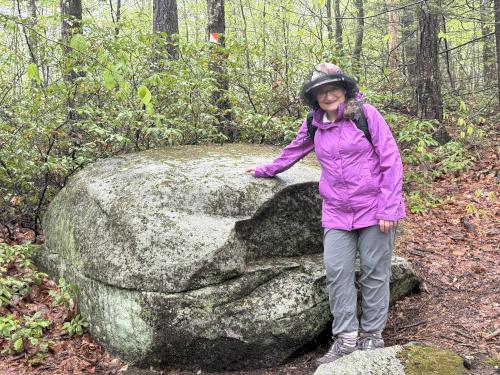 trailside rock at Tucker Brook Town Forest in southern NH
