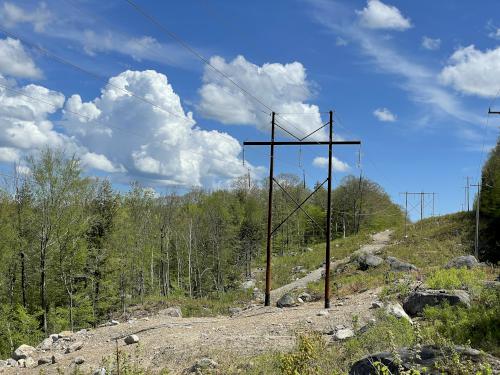 powerline swath in May at Tuttle Hill in southwestern New Hampshire