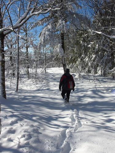 Lance hikes toward the summit of North Uncanoonuc Mountain in New Hampshire