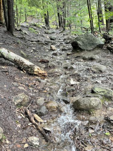 wet trail in July on South Uncanoonuc Mountain in southern New Hampshire