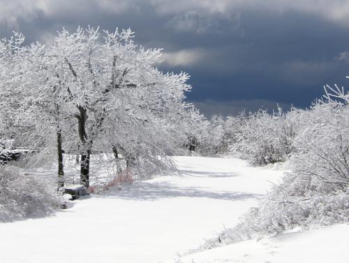 winter landscape in April atop Wachusett Mountain in Massachusetts