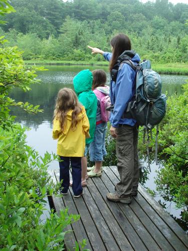 hikers on the bog walk at Ward Reservation in Massachusetts