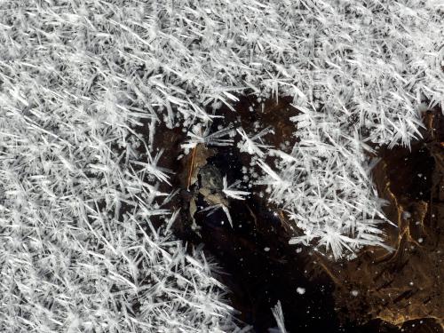 ice crystals in November on the trail to Little Mount Washington in southwest New Hampshire