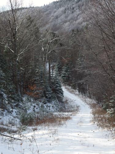 snowmobile trail in November to Little Mount Washington in southwest New Hampshire