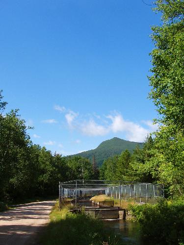 fish hatchery on York Pond Road in New Hampshire