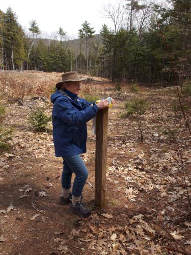 photo stand at Weeks Woods near Gilford in southern New Hampshire