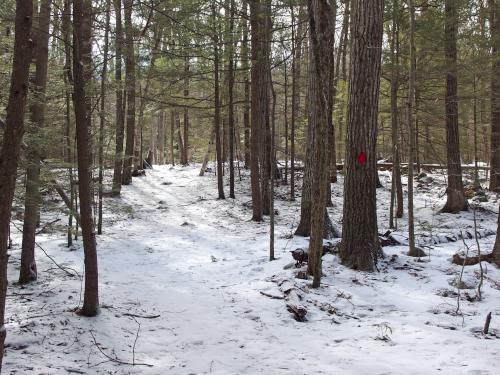 trail to West Hill at Horatio Colony near Keene in southwestern New Hampshire