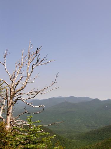 view from Whaleback Mountain in New Hampshire