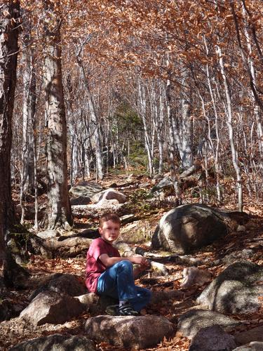 hiker on the Blueberry Ledge Trail to Mount Whiteface in the Sandwich Range in New Hampshire