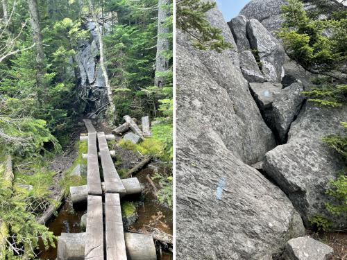 trail rock climbing in August at White Rock Mountain in northern Vermont