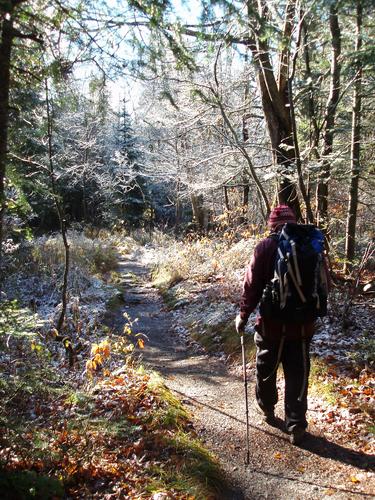 hiker on the Zealand Trail in New Hampshire