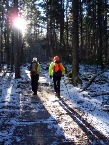 hikers on the Zealand Trail to Whitewall Mountain in New Hampshire