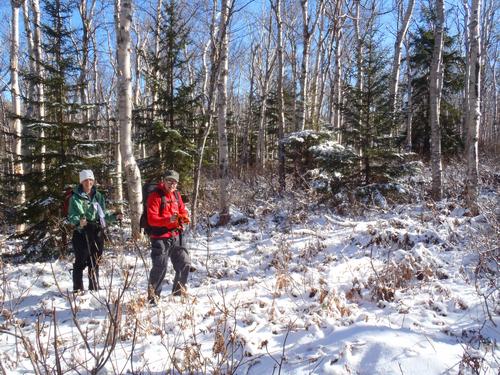 hikers in the woods on Whitewall Mountain in New Hampshire