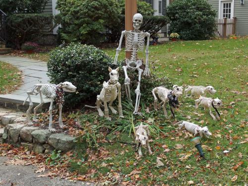 Halloween decoration near Wilson Mountain Reservation in eastern Massachusetts