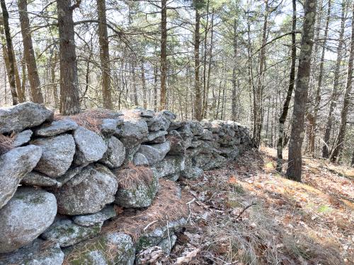 woods and stone wall in November at Windsor Mountain in southwest New Hampshire