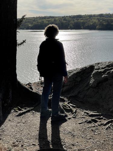 silhouette in May at Wolfe's Neck Woods near Freeport in southern Maine