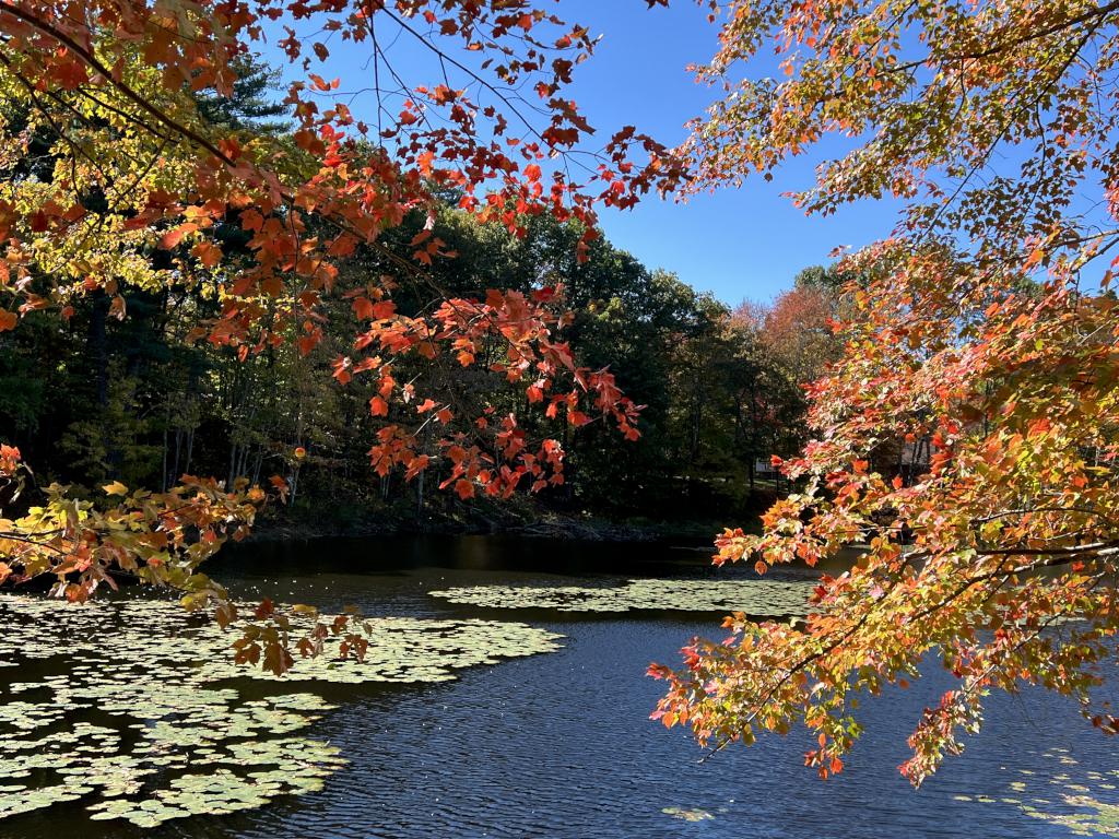 pond in October at Woodlock Trail in southern NH