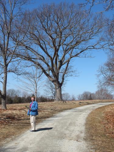 hiker at World's End in Massachusetts