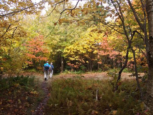 John and Dick on the Long Trail to Worth Mountain in the Green Mountains of northern Vermont