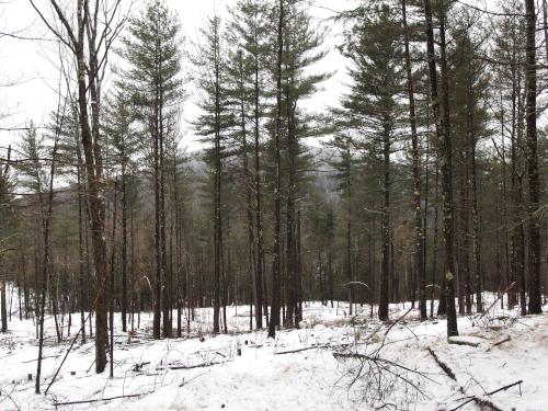 glimse of South Uncanoonuc Mountain from the trail to Worthley Hill in New Hampshire