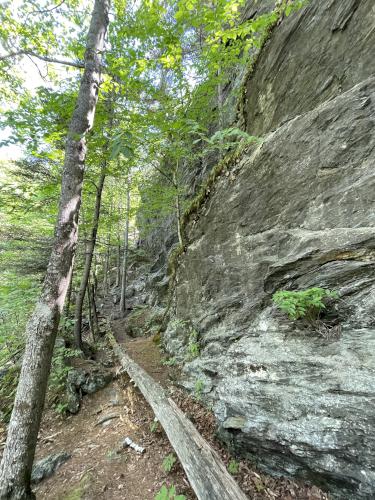 trail in June at Wrights Mountain near Bradford in northeast Vermont