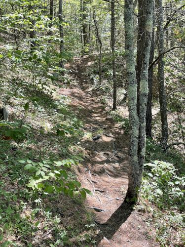 trail in June at Wrights Mountain near Bradford in northeast Vermont