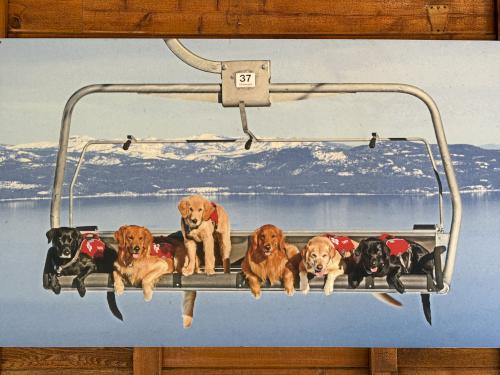doggie poster advertising the Heavenly ski area gondola at Lake Tahoe, California