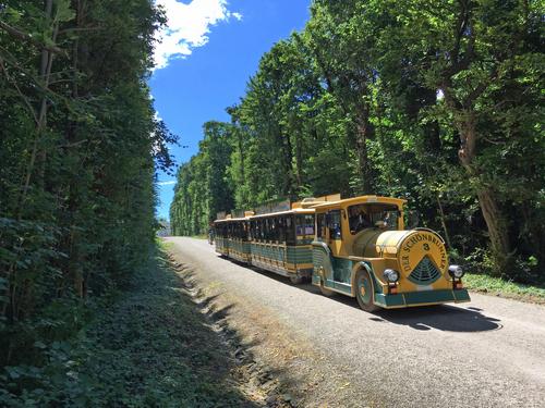 tourist train at Schonbrunn Palace in Vienna, Austria